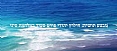 מבצע תושייה חילוץ יהודי פורט סעיד במלחמת סיני